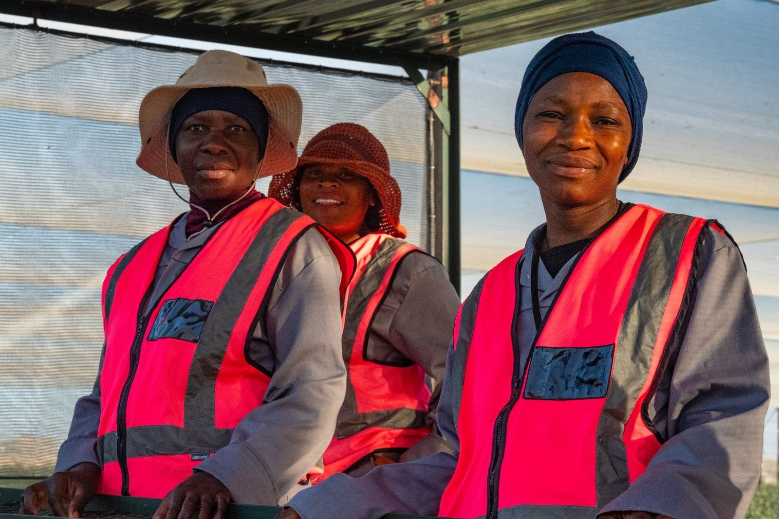 Members of the harvest team in high-visibility vests