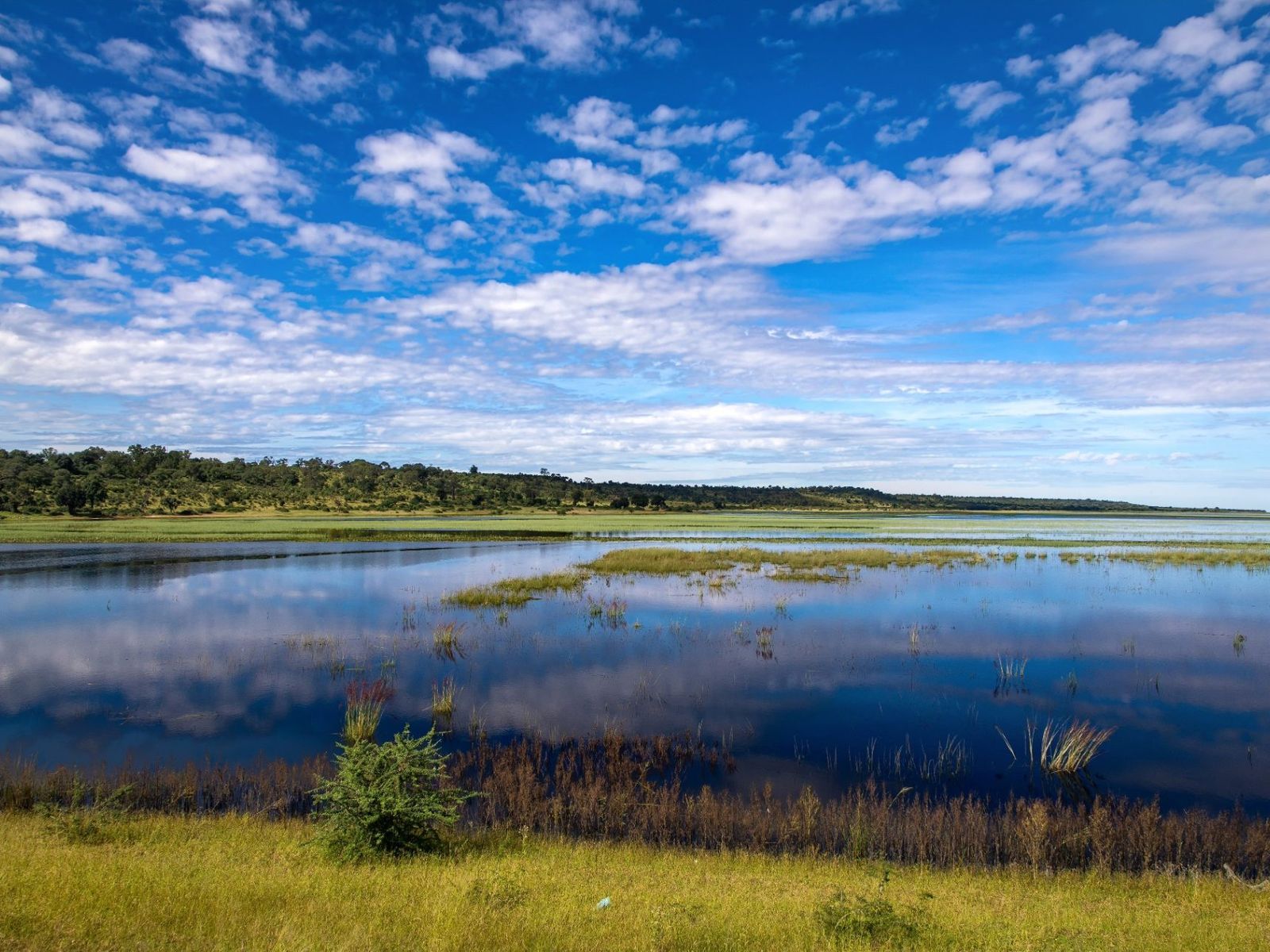 Wetlands and open water in the Zambezi Region of northern Namibia