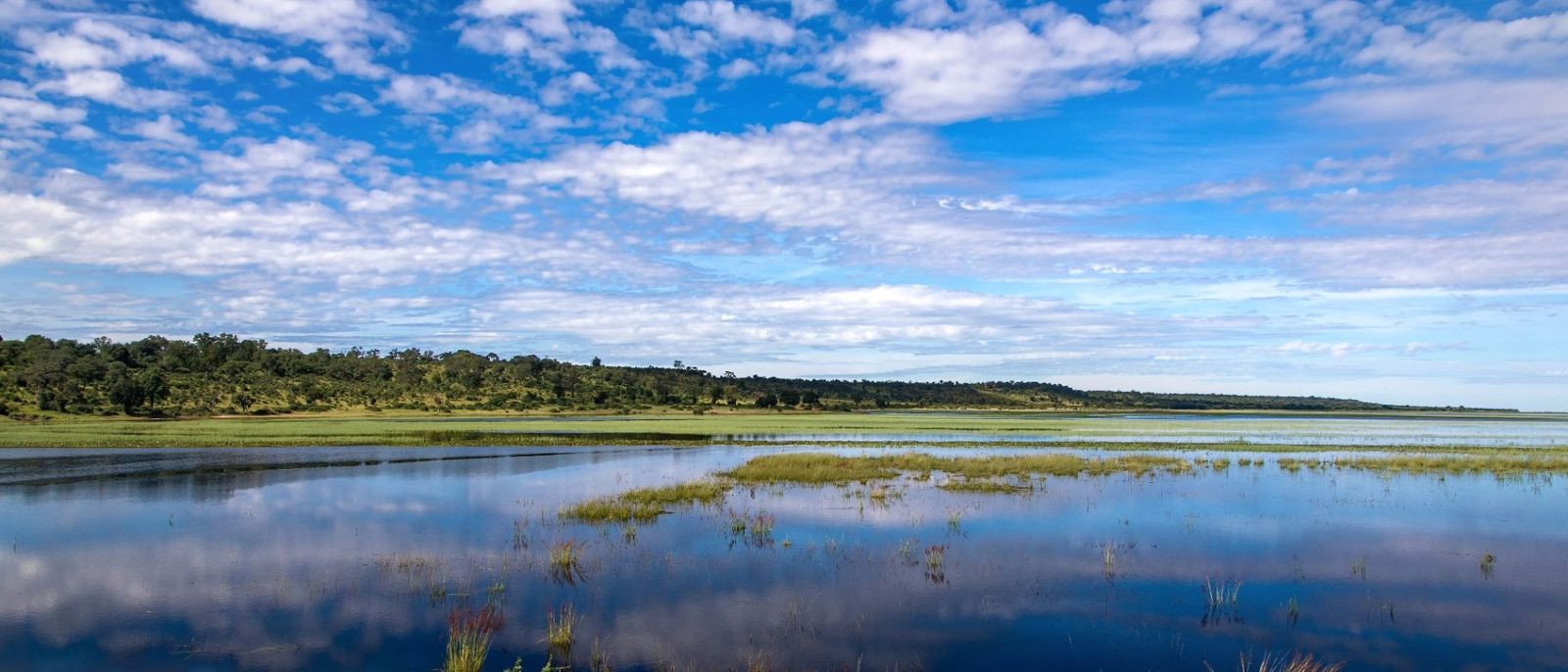 Floodplain and open water in the Zambezi Region of Namibia